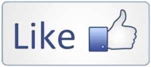 like-facebook-for-blog-promotion