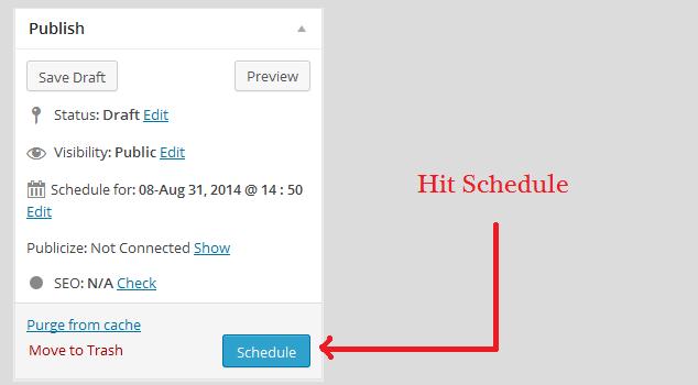 schedule-wordpress-post-hit schedule