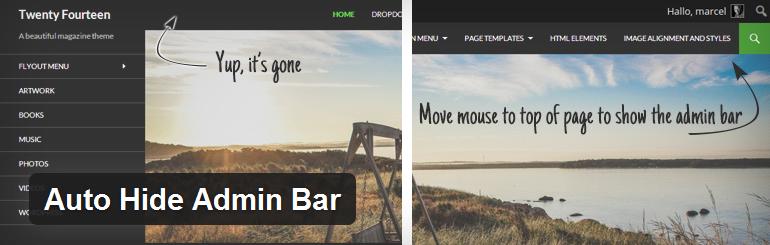 auto-hide-admin-bar